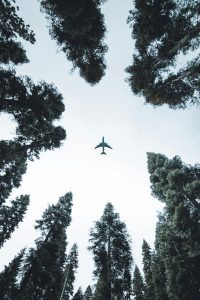 blog post six